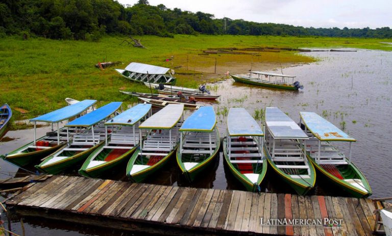 Niveles récord de metales pesados encontrados en peces de la Amazonía ...